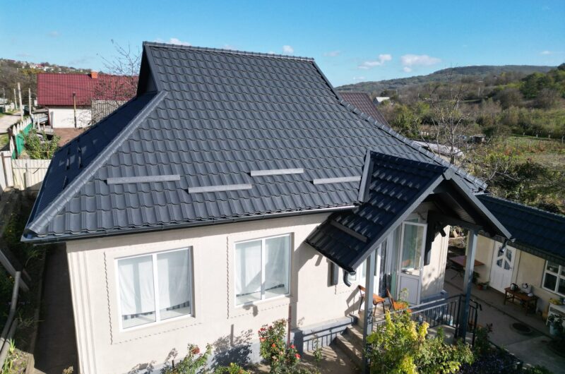 Țiglă metalică, Arctica, Coreea V-matt, Lozova, Strășeni