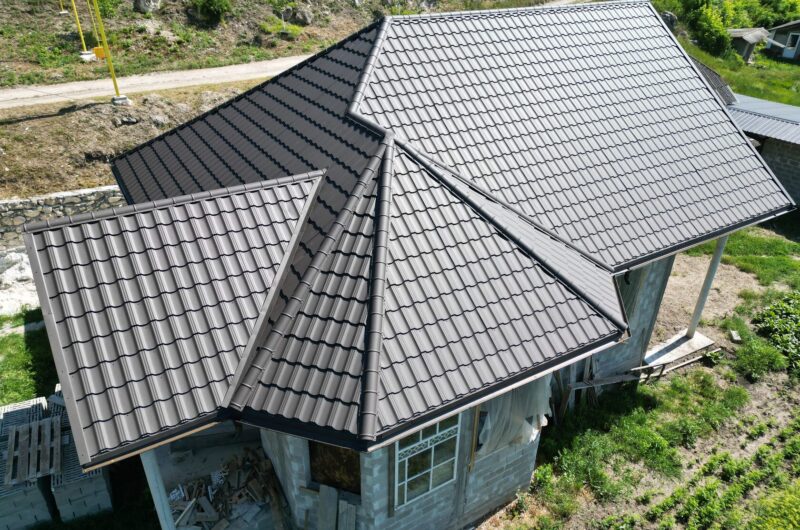 Țiglă metalică, Arctica, Corjeuți, Briceni