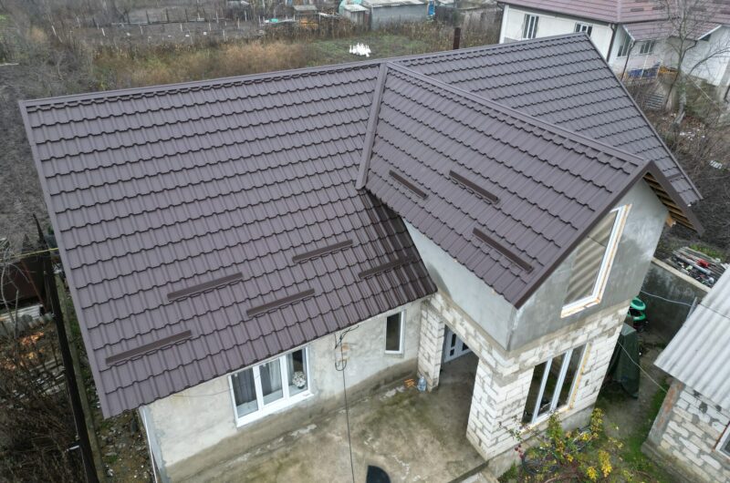 Țiglă metalică, Alpina, Logănești, Hîncești