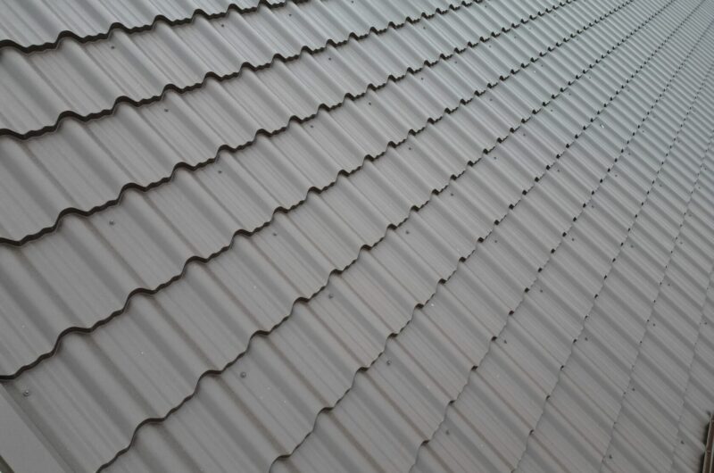 Țiglă metalică, Alpina, Logănești, Hîncești