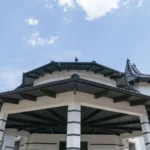 Керамическая черепица, Creaton Rapido, чёрный глянец, Кожушна, Страшены