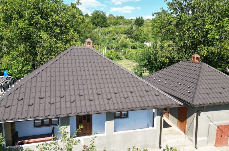 Acoperiș flix în satul Donici, Orhei